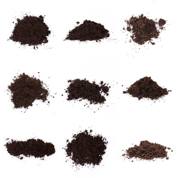 istock Patch of soil or mud isolated on white background 1196535417
