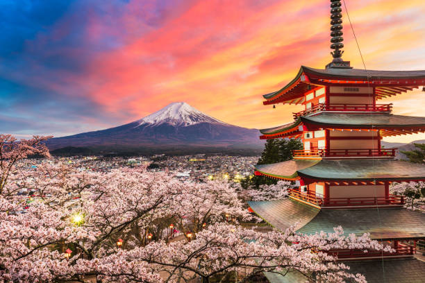 富士吉田、春の中里塔と富士山の桜の富士山。 - fuji mt fuji yamanashi prefecture japanese fall foliage ストックフォトと画像