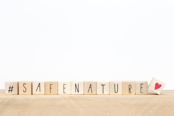 wooden cubes with a hashtag and the words safe nature, social media concept, near white background - organic single word environment block imagens e fotografias de stock