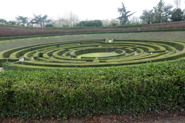istock maze in Caen at Bird Hill 1196537586