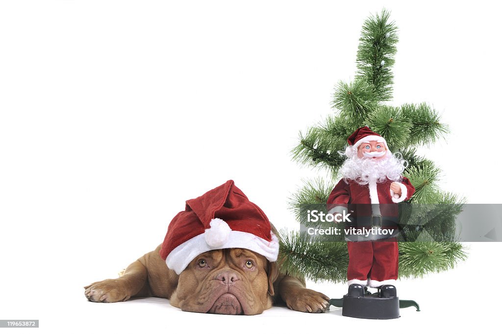 Cachorrinho sob a Árvore de Natal - Royalty-free Alegria Foto de stock