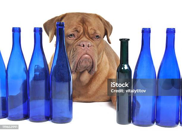 犬と列のボトル - からっぽのストックフォトや画像を多数ご用意 - からっぽ, アルコール飲料, イヌ科