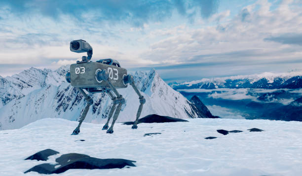 Robotic dog with security camera on search and rescue mission in the mountains Concept of near future when robot dogs are used to assist police forces on assignments. The robot dog in the image has a camera mounted on top of the body. The dog stands on top of a mountain, perhaps a search and rescue operation. search and rescue dog photos stock pictures, royalty-free photos & images