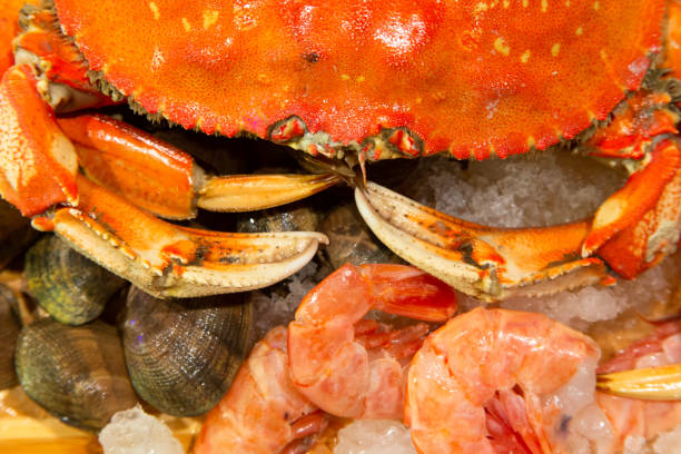 istock Crab, prawns, and clams on ice 1196541034