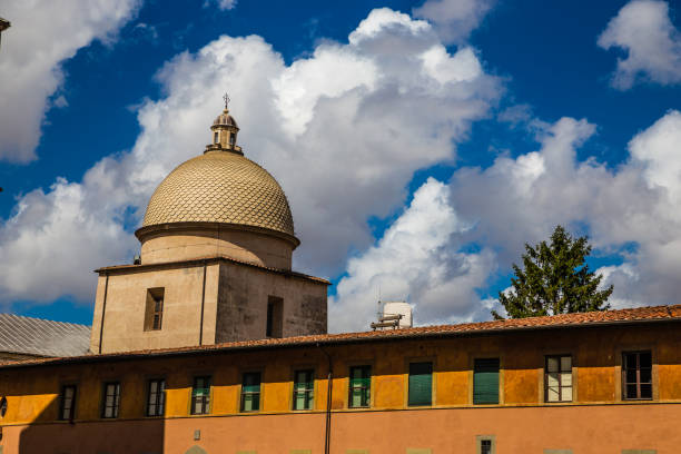 캄포 산토의 지붕 - 피사, 이탈리아 - camposanto monumentale 뉴스 사진 이미지