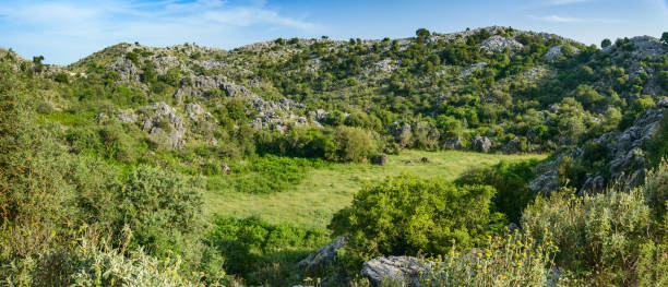 istock Pantokrator, rocks covered with alpine vegetation, mountain landscape. 1196548133