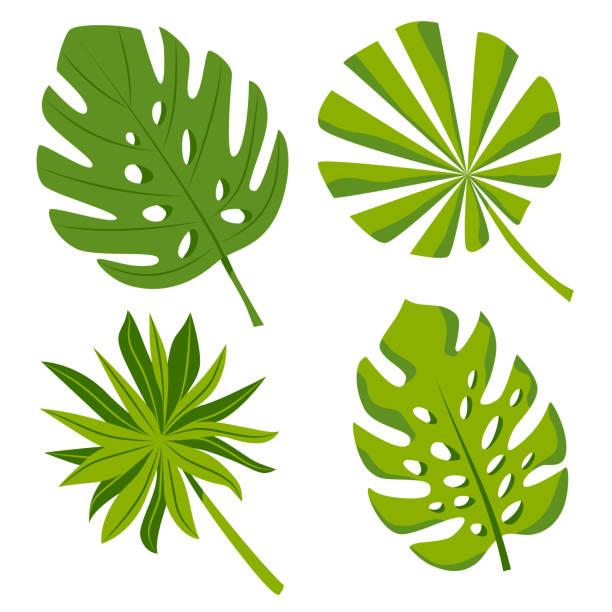 ilustrações, clipart, desenhos animados e ícones de imprimir - palmleaf