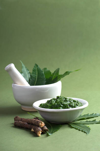 medicinal neem leaves in mortar and pestle with paste and twigs on green background - azadirachta indica imagens e fotografias de stock