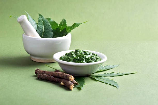 istock Medicinal Neem leaves in mortar and pestle with paste and twigs on green background 1196552421