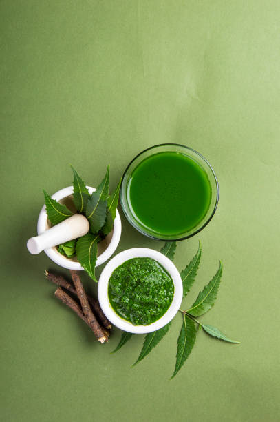 medizinische neem blätter in mörtel und stößel mit neem paste, saft und zweigen auf grünem hintergrund - azadirachta indica stock-fotos und bilder