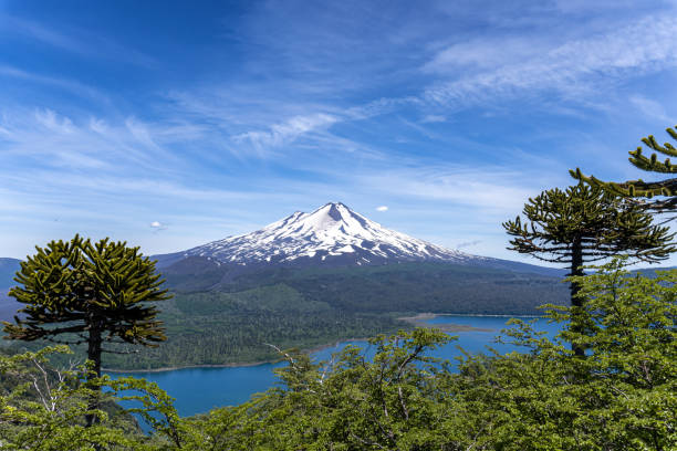 istock Elevated view of Llaima Volcano in Conguillio National Park 1196559793