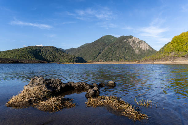 istock Verde Lake in Conguillio National Park 1196559813