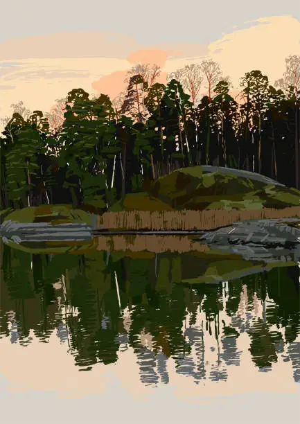 Vector illustration of Rocky shore of the gulf of Finland with mixed forest and sunset skies on the background
