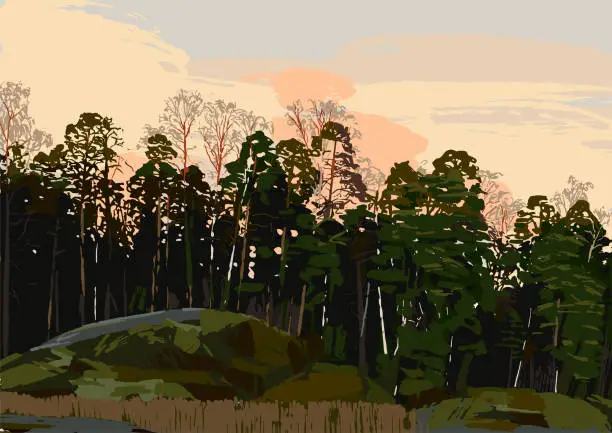 Vector illustration of Rocky shore of the gulf of Finland with mixed forest and sunset skies on the background