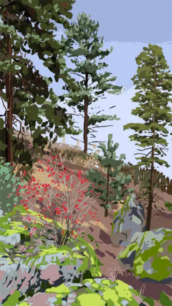 Vector illustration of Scandinavian landscape with coniferous trees and bushes on the rocky hills