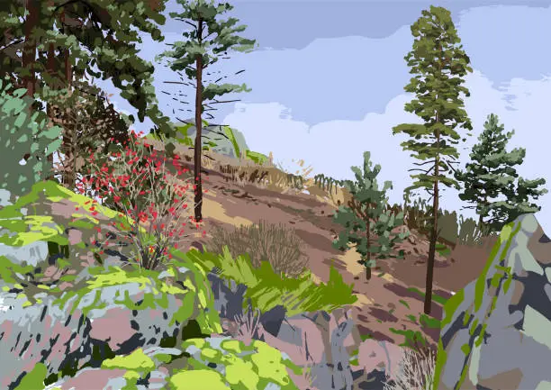 Vector illustration of Scandinavian landscape with coniferous trees and bushes on the rocky hills