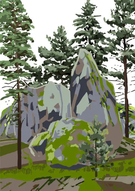 Vector illustration of Group of coniferous trees among the rocks, covered with moss.