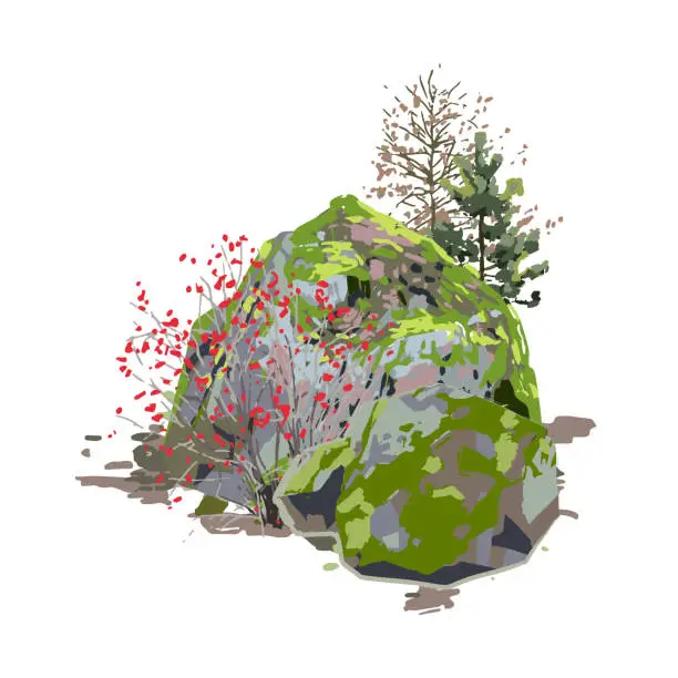 Vector illustration of Huge rock, covered with moss, surrounded by coniferous trees and berry bushes
