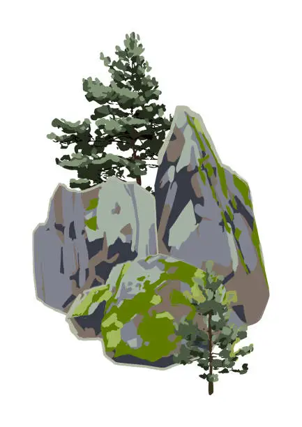 Vector illustration of Coniferous trees among the rocks, covered with the green moss