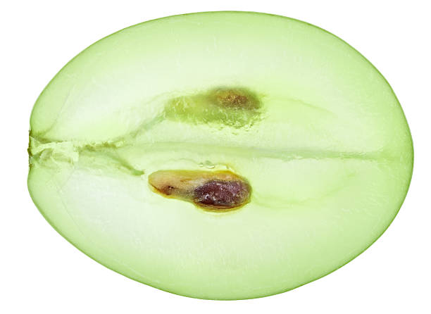 Translucent slice of green grape fruit isolated on white stock photo