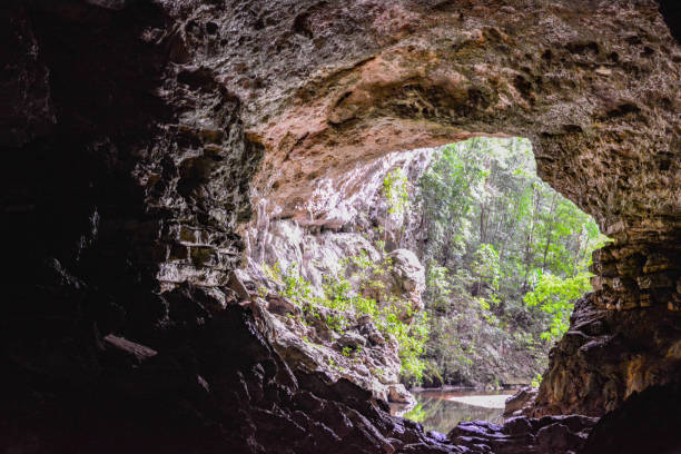 rio frio cave - riserva forestale di mountain pine ridge - belize - america centrale - cruise cruise ship nautical vessel florida foto e immagini stock