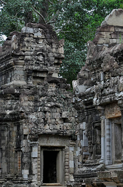 the jungle temple ta prohmm stock photo