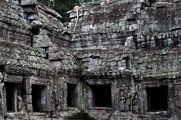 ta prohm jungle temple stock photo