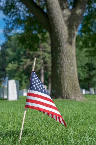 istock Little USA Flag 1196579028