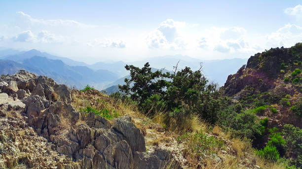 istock Mountains scenery - natural background - natural park - So beautiful clear blue sky - nice day 1196591243
