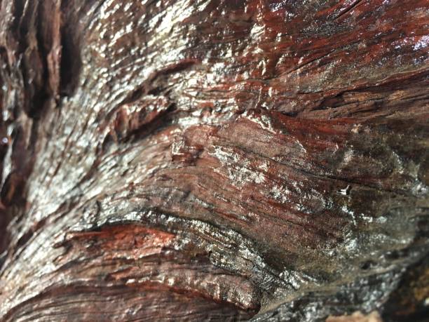 istock Beautiful pattern of old wood 1196591256