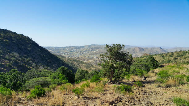 istock Mountains scenery - natural background - natural park - So beautiful clear blue sky - nice day 1196591258