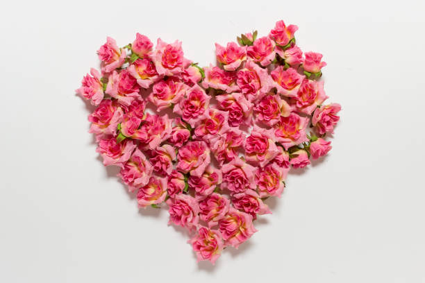 istock Pink rose heart on white background 1196593347