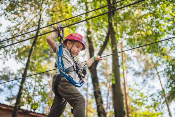 istock Cute little boy in an adventure park 1196595165