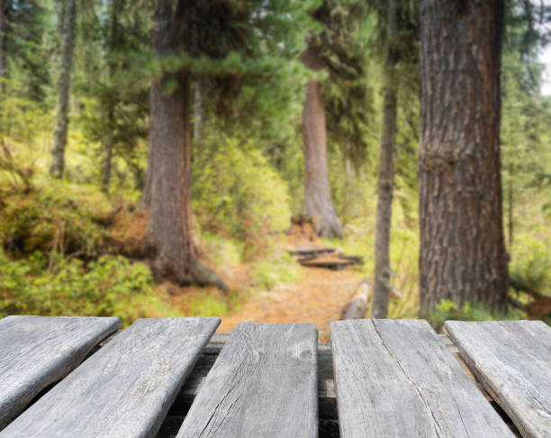 empty old wooden table on the blur background of the forest