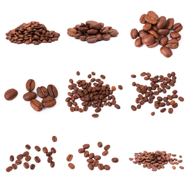 istock set of roasted coffee beans. Isolated on a white background. 1196598067