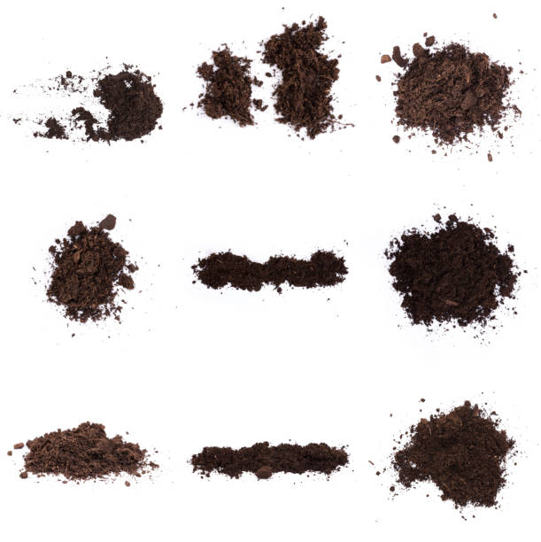 istock Patch of soil or mud isolated on white background 1196598201