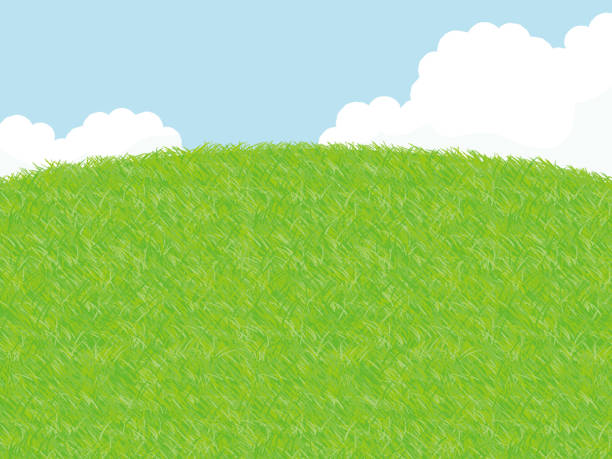 草原風景図 - 草原点のイラスト素材／クリップアート素材／マンガ素材／アイコン素材