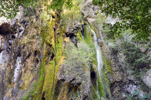 водопад сливодолско падало в родопи - челеста стоковые фото и изображения
