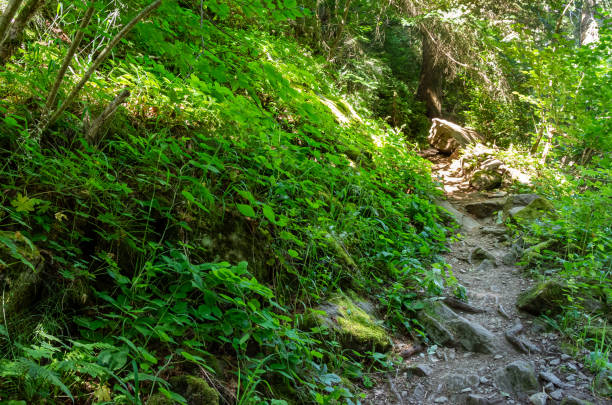 istock Smolyan Canyon of Waterfalls 1196602460