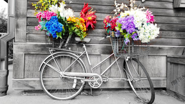 istock Colorful flowers 1196604640