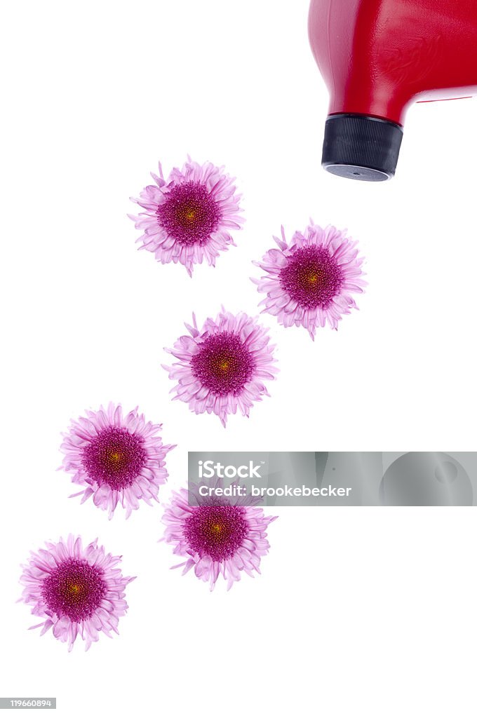Aceitera Derramando flores - Foto de stock de Blanco - Color libre de derechos