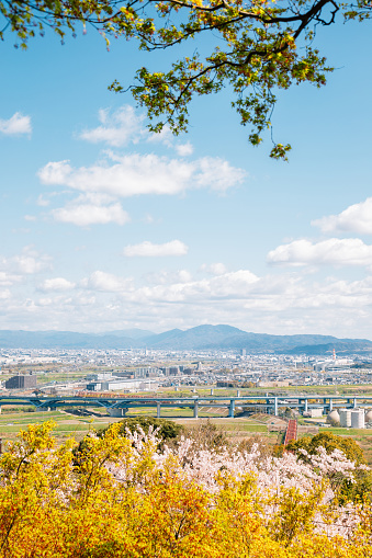 Spring of Yawata city from observatory in Kyoto, Japan