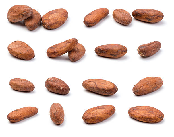 istock Variety of cocoa beans 119661018