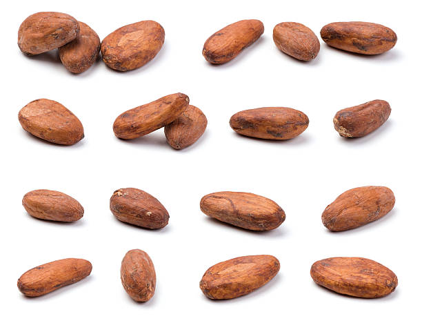 Variety of cocoa beans  cocoa bean stock pictures, royalty-free photos & images