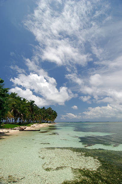 istock Palms and Beach, San Blas islands 119661583