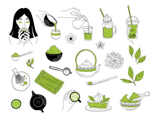 Japanese ceremony with Matcha. Eastern woman Hands holding drinking tea. Japanese ceremony with Matcha. Eastern Girl woman drinking tea. Hands holding tea items. Matcha latte, pie, dessert. Vector illustration doodles, set of tea party in thin line art sketch style matcha tea stock illustrations