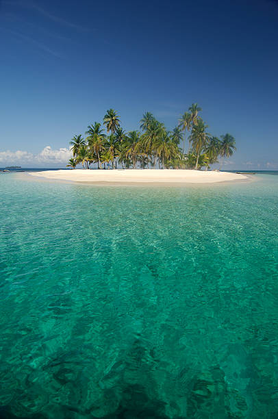 small tropical island with clear blue water - san blas bildbanksfoton och bilder