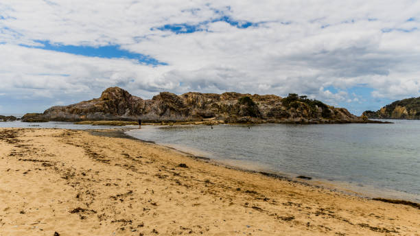 istock Guerilla Bay Seascape 1196619587