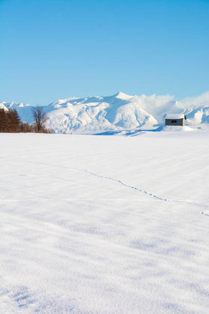 istock Snowfield with wildlife footprints and snow montains 1196619700