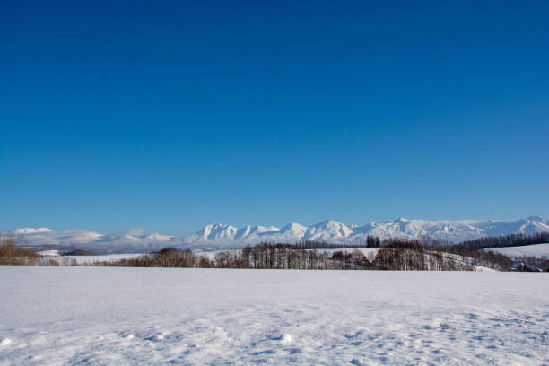 istock Snow mountains and blue sky 1196619761